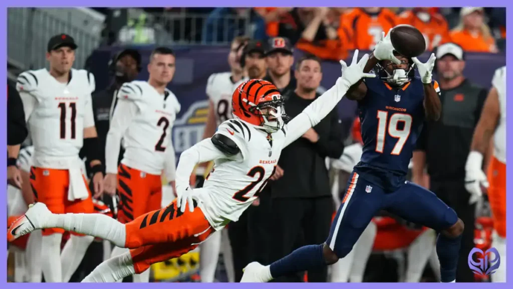 Denver Broncos vs Bengals Match Player Stats