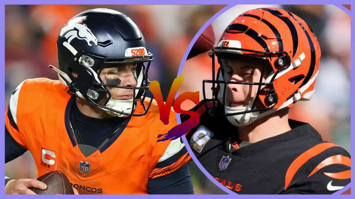 Denver Broncos vs Bengals Match Player Stats